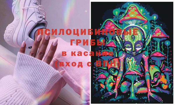 ГАЛЛЮЦИНОГЕННЫЕ ГРИБЫ Алзамай