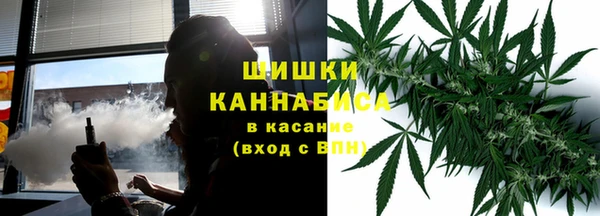 ГАЛЛЮЦИНОГЕННЫЕ ГРИБЫ Алзамай