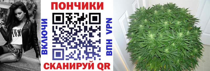 Каннабис THC 21% KRAKEN ТОР Любим